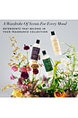 view 8 of 8 Flora Luna Laundry Detergent in 