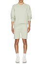 view 4 of 4 Light Bilen Sweatshorts in Light Greenstone