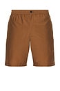 view 1 of 4 Straight Cut Shorts in Deep Tobacco