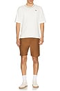view 4 of 4 Straight Cut Shorts in Deep Tobacco