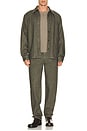 view 5 of 5 Standard Jeans in Army
