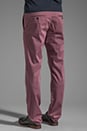 view 4 of 6 Clifton Zaine Trouser in Capra