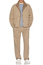 view 5 of 5 Stretch Chino Pant in Feather