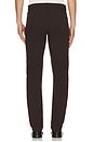 view 3 of 5 Neoteric Twill Raffi Pant in Brownwood