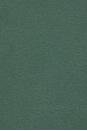 view 5 of 5 T-SHIRT in Dark Feldspar Green