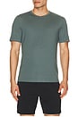 view 1 of 4 Essential Tee in Light Pine Grove