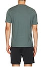 view 2 of 4 Essential Tee in Light Pine Grove