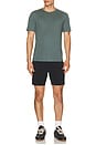 view 3 of 4 Essential Tee in Light Pine Grove