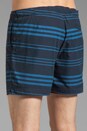 view 6 of 7 Kahana Kosmor ST Short in Eclipse Stripe