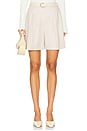 view 1 of 6 Pleated Short in Sand Multi
