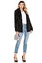 view 4 of 4 Clairene Faux Fur Coat in Black
