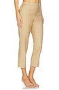 view 2 of 6 Treeca Pull On Pant in New Camel