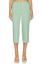 view 1 of 6 PANTALONES CAPRI in Delicate Green