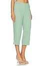 view 2 of 6 PANTALONES CAPRI in Delicate Green