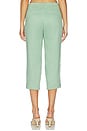 view 4 of 6 PANTALONES CAPRI in Delicate Green