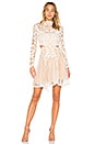 view 1 of 3 Enchanted Garden Mini Dress in Ivory