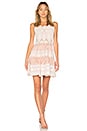 view 1 of 4 Ebony Embroidered Dress in Nude & Ivory