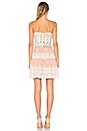 view 3 of 4 Ebony Embroidered Dress in Nude & Ivory