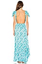 view 4 of 4 New Moon Maxi in Scattered Daisy Tosca