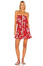 view 1 of 3 Ryden Mini Dress in Vintage Hawaii Red