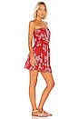 view 2 of 3 MINIVESTIDO RYDEN in Vintage Hawaii Red