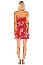 view 3 of 3 Ryden Mini Dress in Vintage Hawaii Red