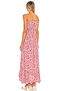 view 3 of 3 Ryden Maxi Dress in Floral Dot Red