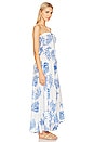 view 2 of 3 Ryden Maxi Dress in Island Palm Blue