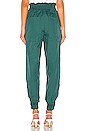 view 3 of 4 Nylon Paper Bag Jogger in Leaf Green