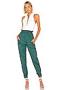 view 4 of 4 Nylon Paper Bag Jogger in Leaf Green