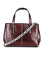 view 1 of 6 Le Client Chain Ayers Water Snake Mini Bag in Dark Brown