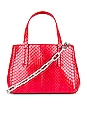 view 1 of 6 Le Client Chain Ayers Water Snake Mini Bag in Red