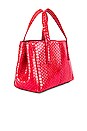 view 3 of 6 Le Client Chain Ayers Water Snake Mini Bag in Red
