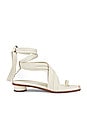 view 1 of 5 Miles Sandal in Ivory