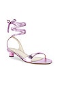 view 2 of 5 SANDALIA SCOTT in Lavender