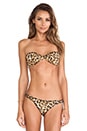 view 1 of 5 Underwire Bikini Top in Earthy Leopard