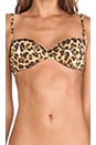 view 5 of 5 Underwire Bikini Top in Earthy Leopard