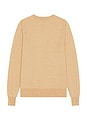 view 2 of 4 PULL in Camel