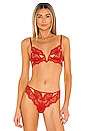 view 1 of 4 SOUTIEN-GORGE KANE in Blood Orange