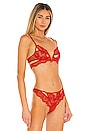 view 2 of 4 SOUTIEN-GORGE KANE in Blood Orange