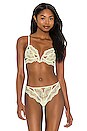 view 1 of 4 SOUTIEN-GORGE KANE in Appletini