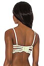 view 3 of 4 SOUTIEN-GORGE KANE in Appletini