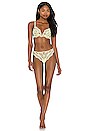 view 4 of 4 SOUTIEN-GORGE KANE in Appletini