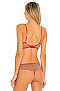 view 3 of 4 Mirage Bra in Persimmon