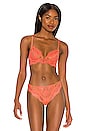 view 1 of 4 Kane Bra in Koral