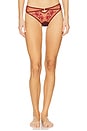 view 1 of 4 Dryad Bikini in Burgundy