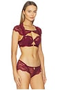 view 2 of 4 Daphne Bra in Burgundy