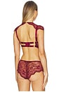 view 3 of 4 Daphne Bra in Burgundy