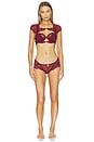 view 4 of 4 Daphne Bra in Burgundy