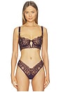view 1 of 4 Scylla Bra in Eggplant